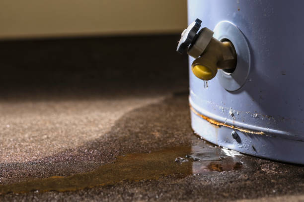 Best Water damage cleanup near me  in Sedgwick, KS