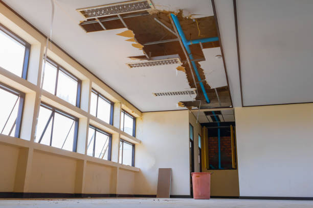 Best Flooded house restoration  in Sedgwick, KS