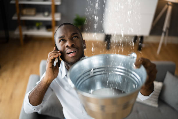 Best Water damage restoration insurance claims  in Sedgwick, KS