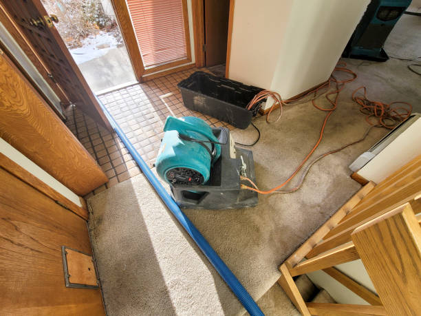 Best 24-hour water damage restoration  in Sedgwick, KS