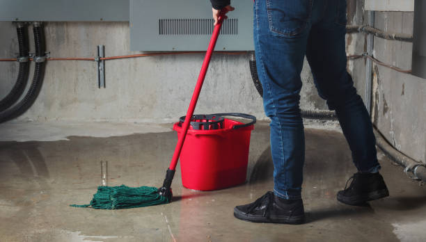 Best 24/7 water damage repair  in Sedgwick, KS