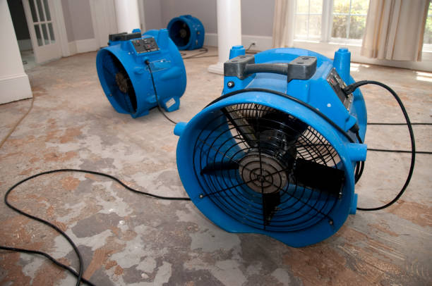 Best 24-hour water damage restoration  in Sedgwick, KS