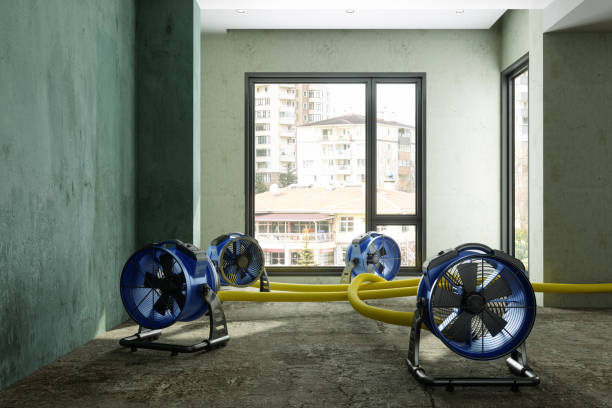 Best Residential water damage restoration  in Sedgwick, KS