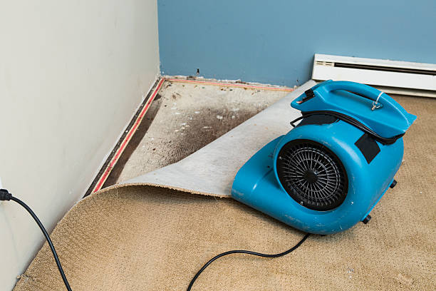 Best Flood restoration services  in Sedgwick, KS